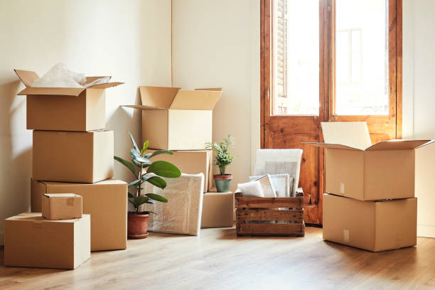 Why Hiring Professionals Makes House Relocation in Geelong Easier