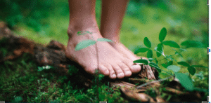 Calming the Mind Naturally: The Stress-Relief Benefits of Earthing